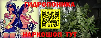 амф Лесосибирск