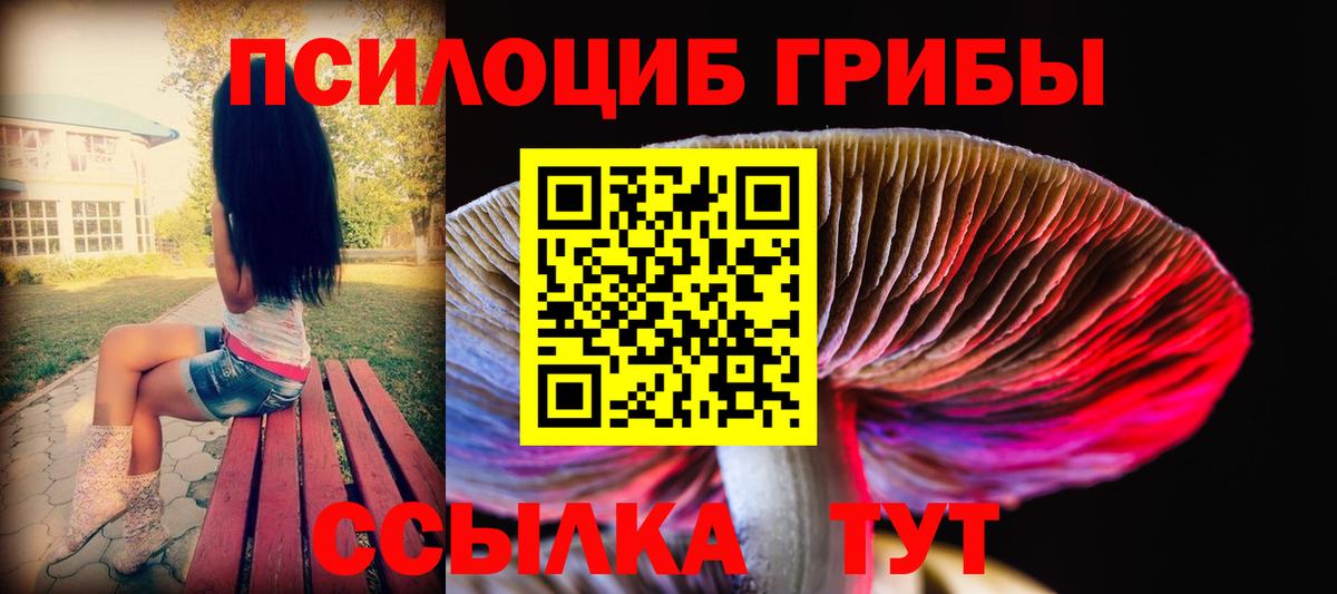 Галлюциногенные грибы мухоморы Ефремов
